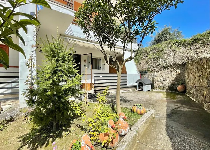 Maria\'S House